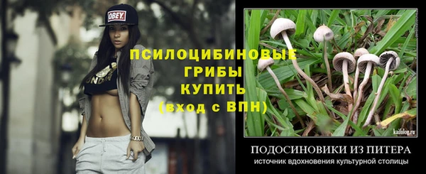 дживик Абаза